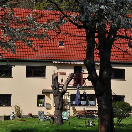 Ferienwohnung An Der Elbe Stadt Wehlen Exterior foto
