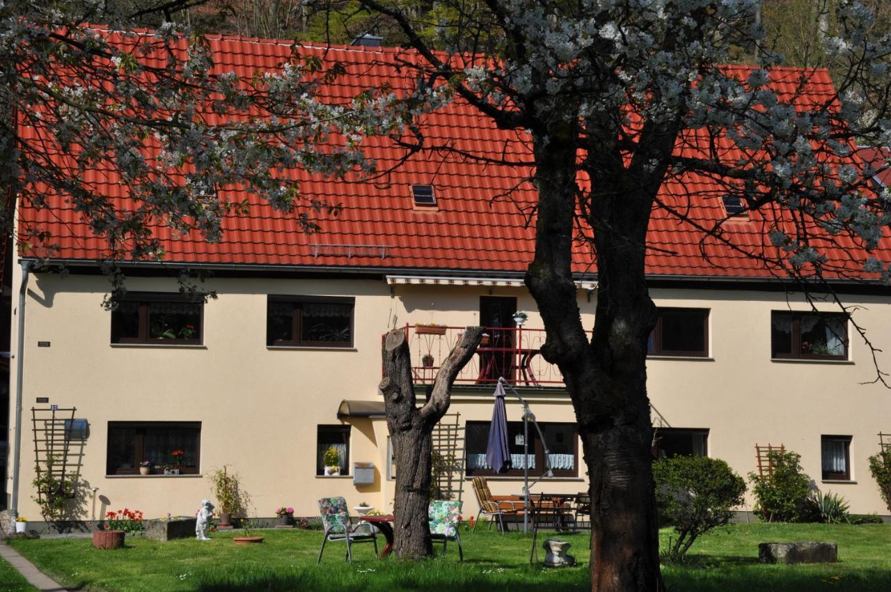 Ferienwohnung An Der Elbe Stadt Wehlen Exterior foto
